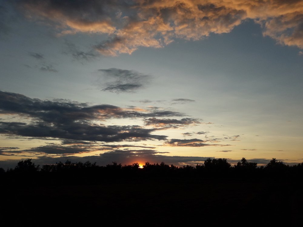 Photo #3550540