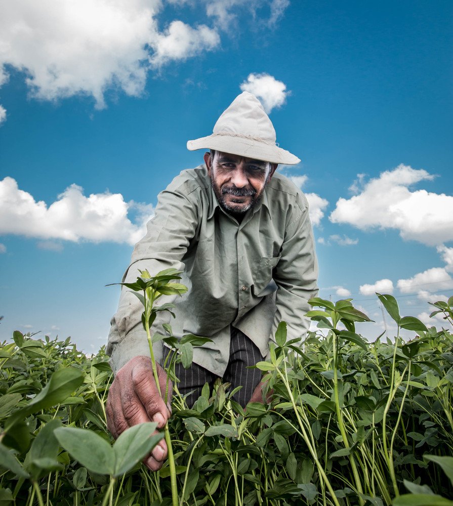 Photograph by Eman arab