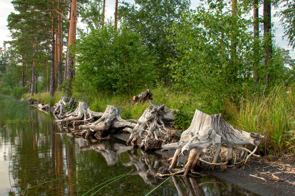 Photograph by Валерий Шорохов