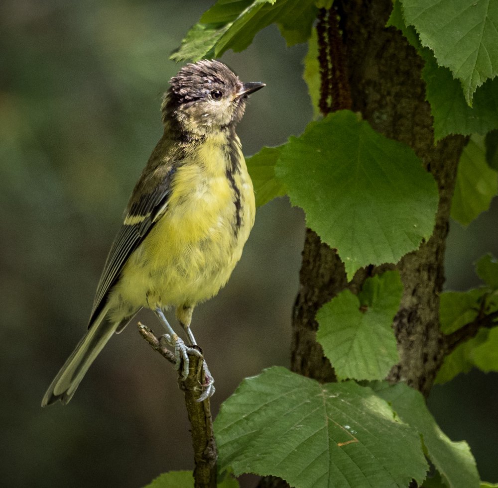 Photograph by Курлянцев Алексей