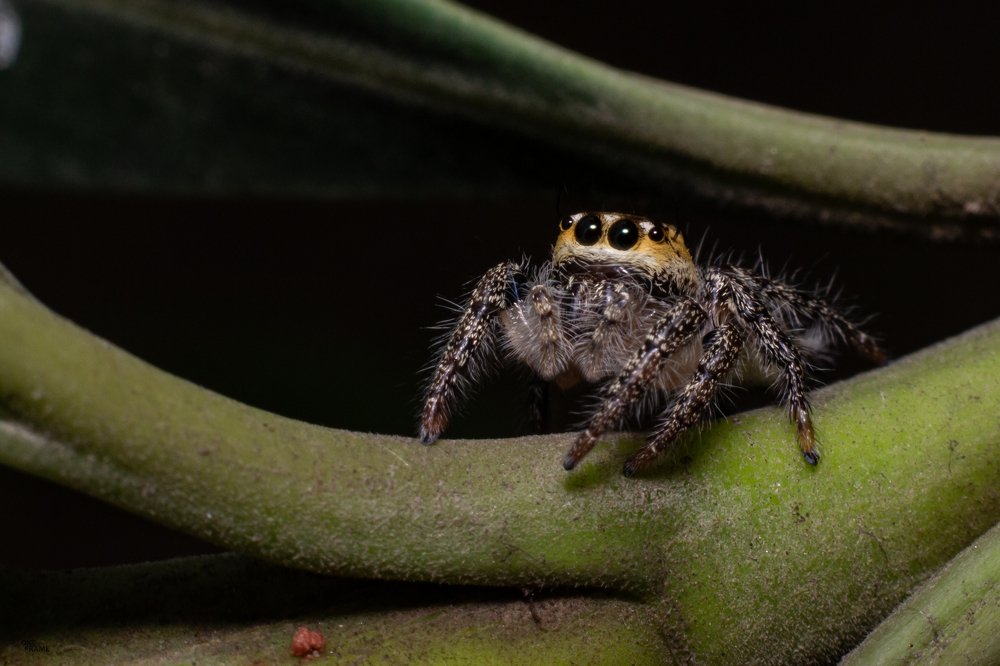 Фотография автора Ashir Kumar