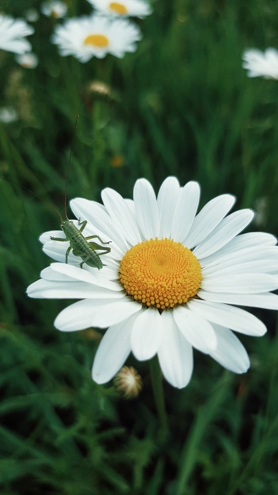Photograph by Лана Агрба