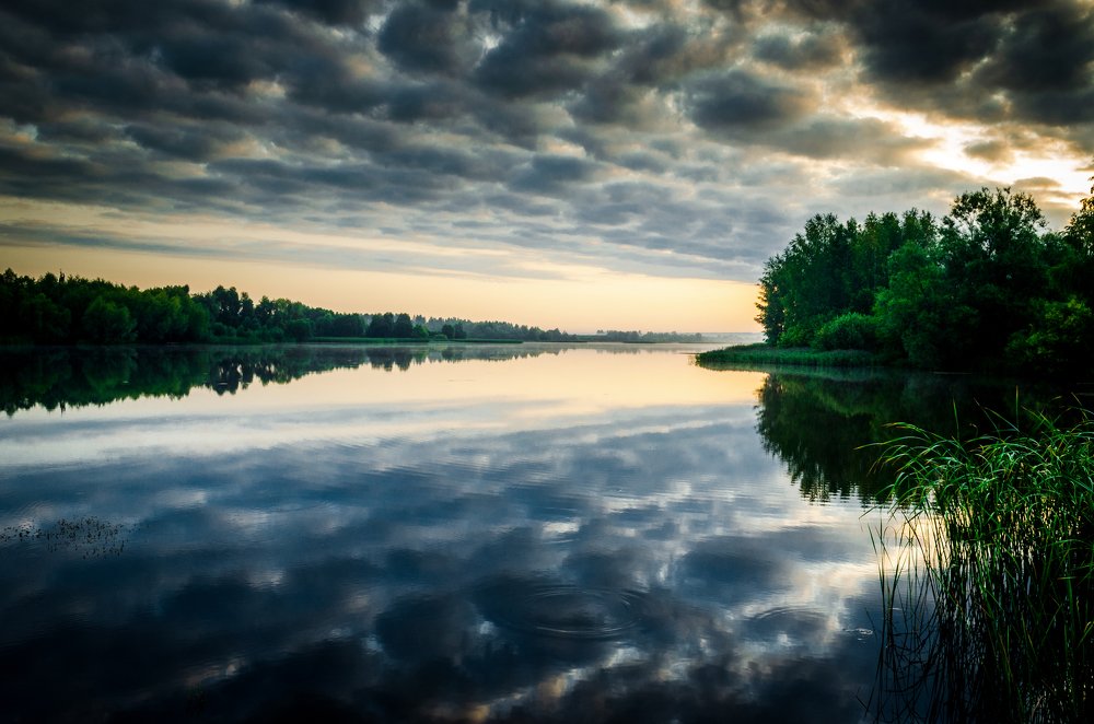 Photograph by Михаил Киселев