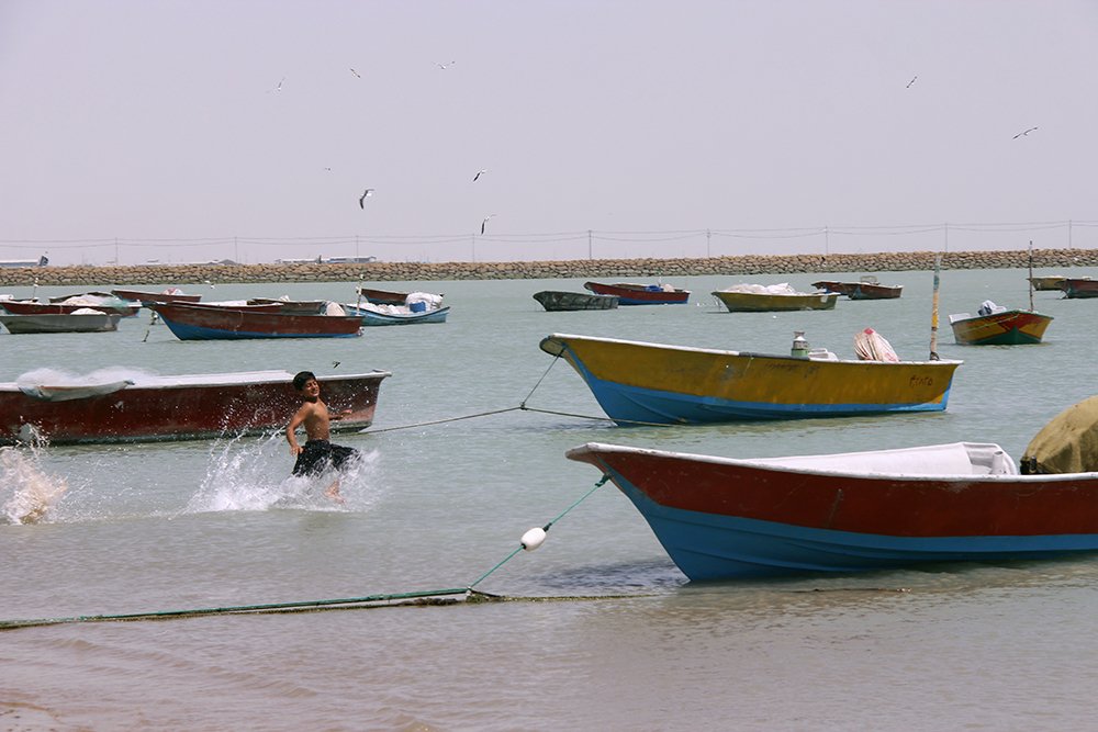 Photograph by Javad Tafti Farashah