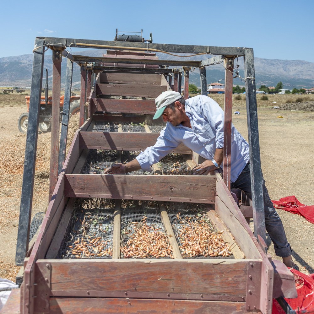 Photograph by Filiz CAGLAR