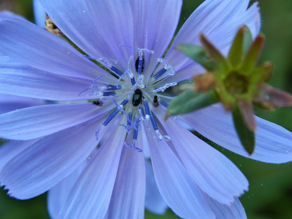 Photograph by Ирина Самойленко