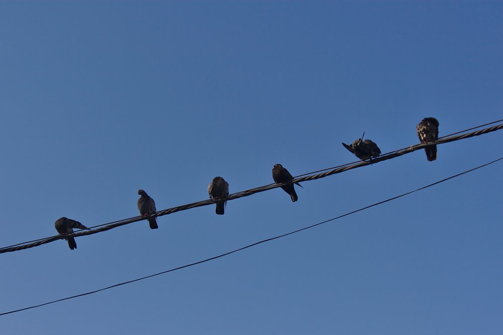 Photograph by Евгений Беленков