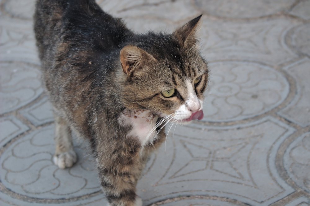 Photograph by Евгений Беленков