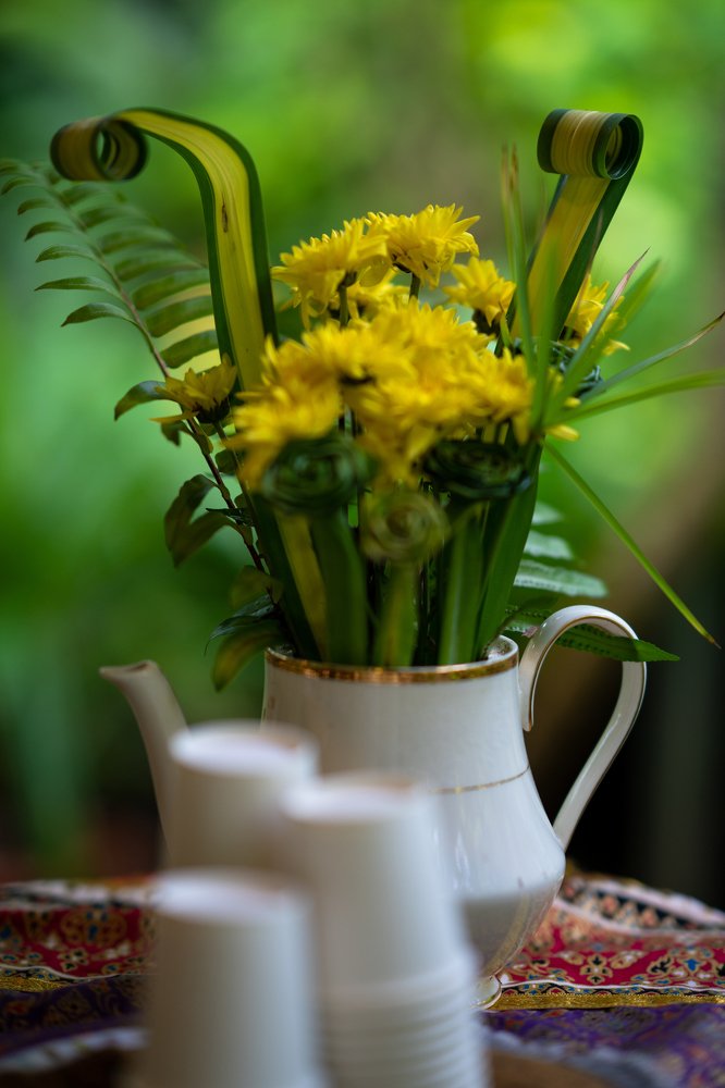 Photograph by michael