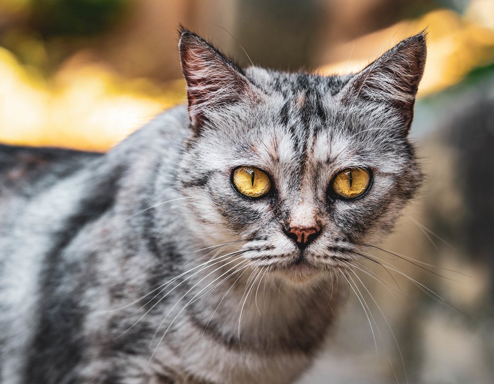 Photograph by michael