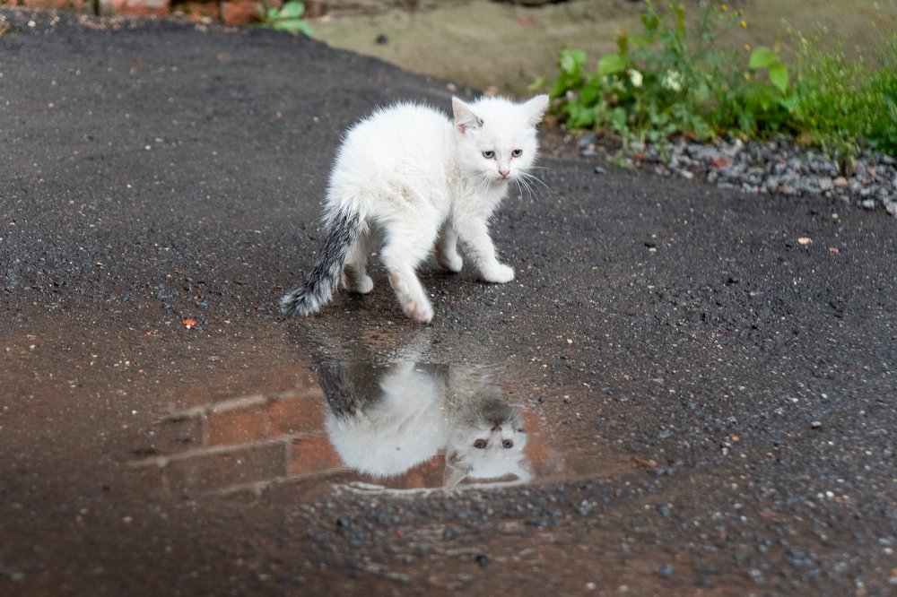 Photograph by Наталья Лабодина