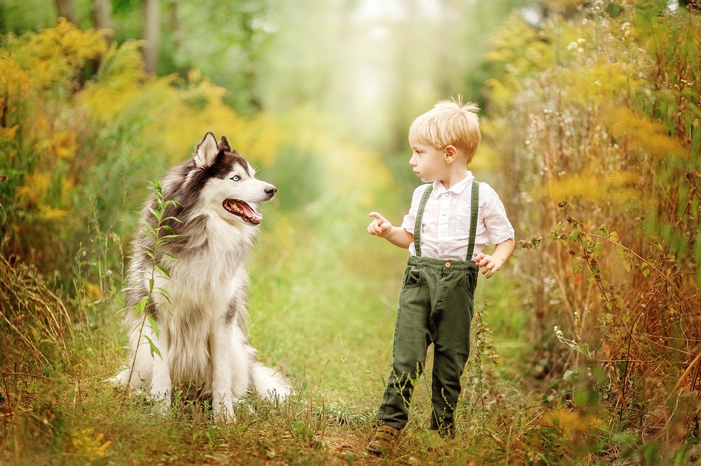 На лесной тропе