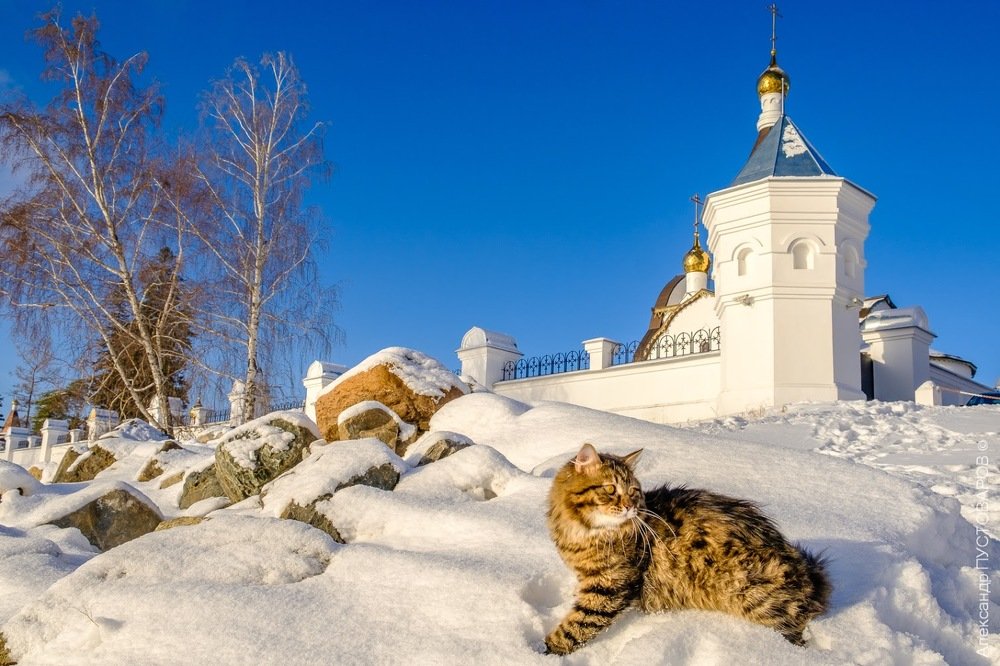 Photograph by Александр Пустоваров