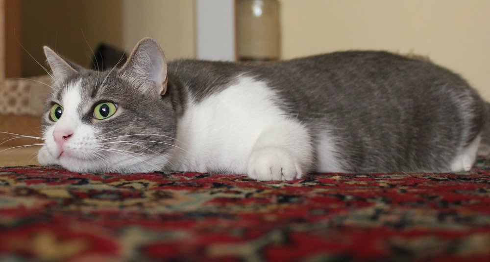 Photograph by Дмитрий Щекин