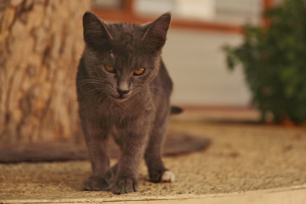 Photograph by Владимир Осипов