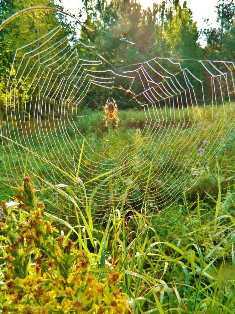 Photograph by Вячеслав Розмин