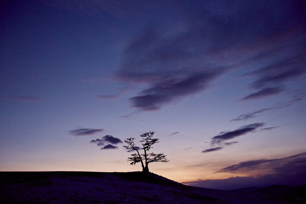 Photograph by Светлана Лето