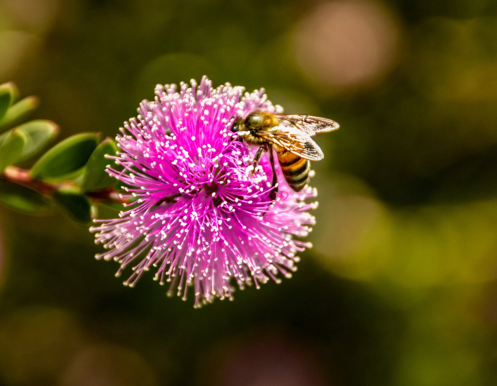 Photograph by michael