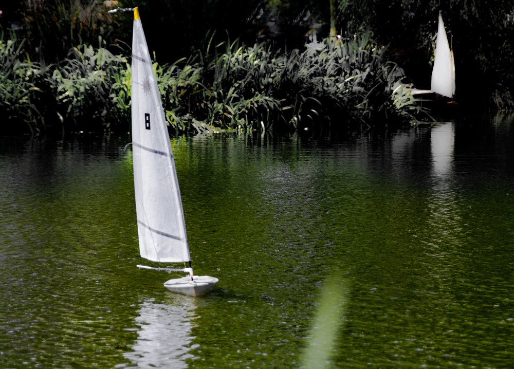 Photograph by michael