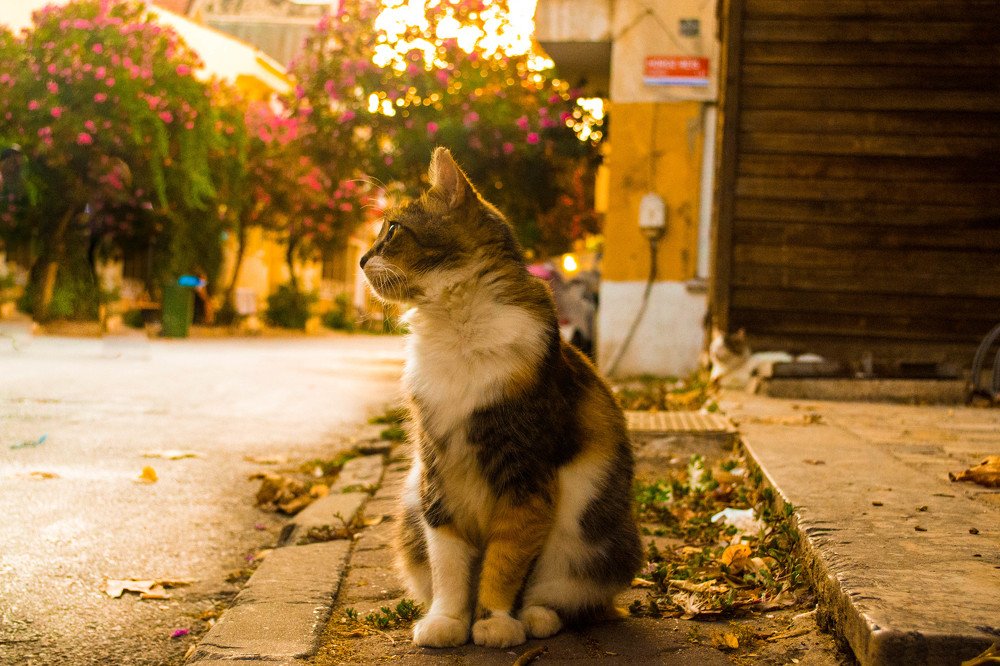 Photograph by Assylzat Nuraliyeva