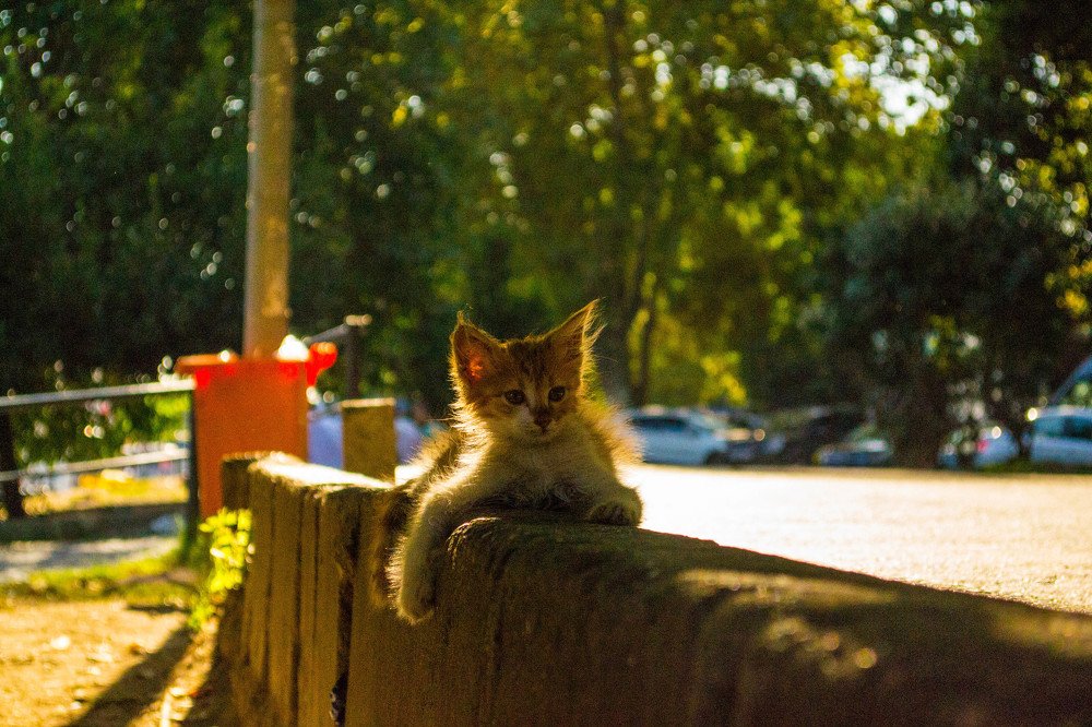 Photograph by Assylzat Nuraliyeva