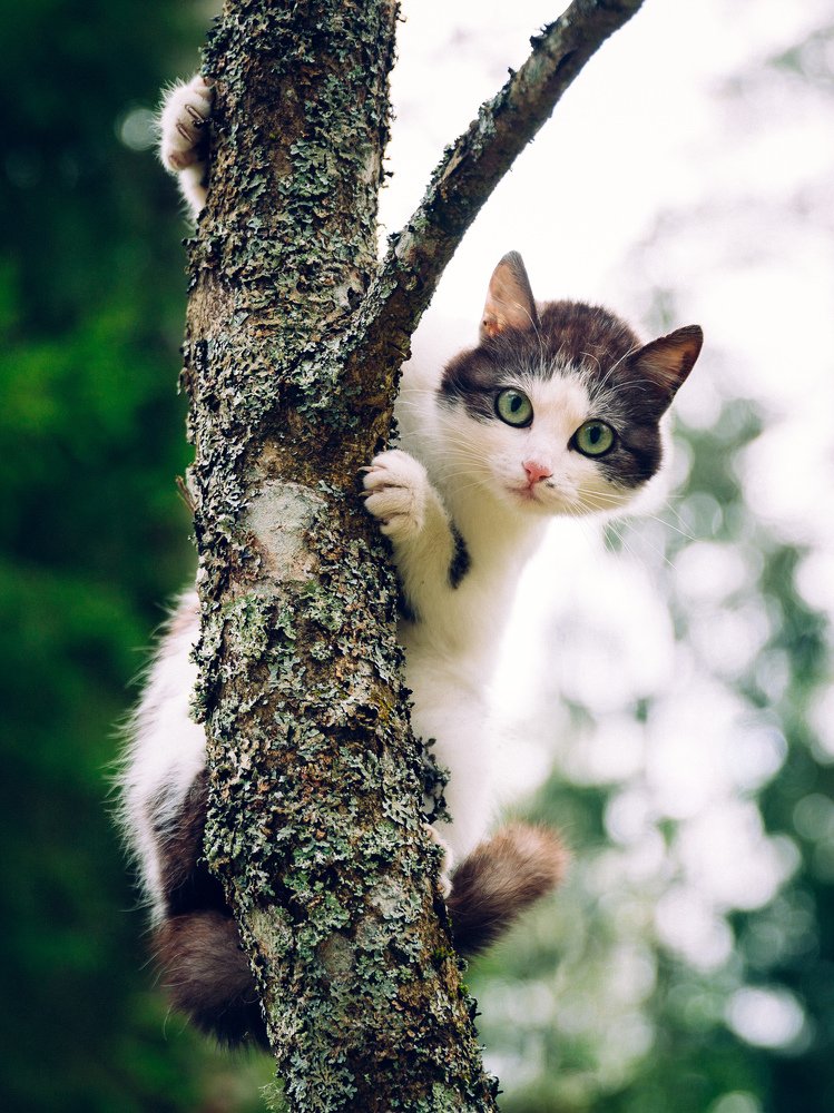 Фотография автора Sergey Pavlov