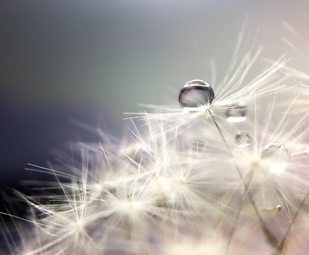 Photograph by Вероника Денисова