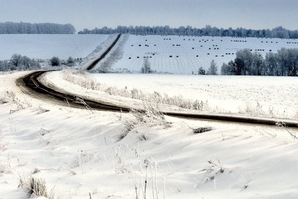 Photograph by Степанов Евгений