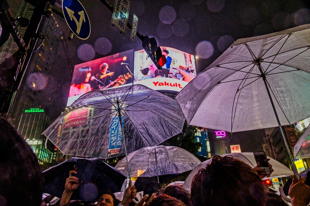 Photograph by Wojciech Tomanik