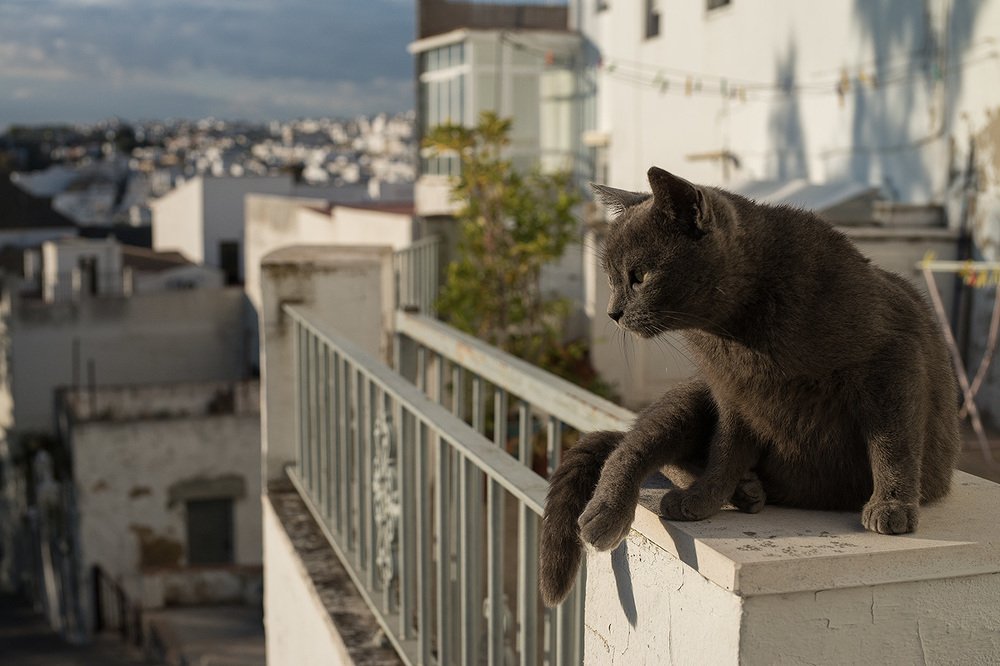 Photograph by Алексей Александрович