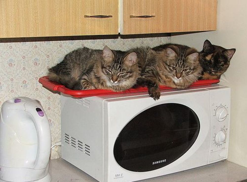 Фотография автора Владислава Андрюнина