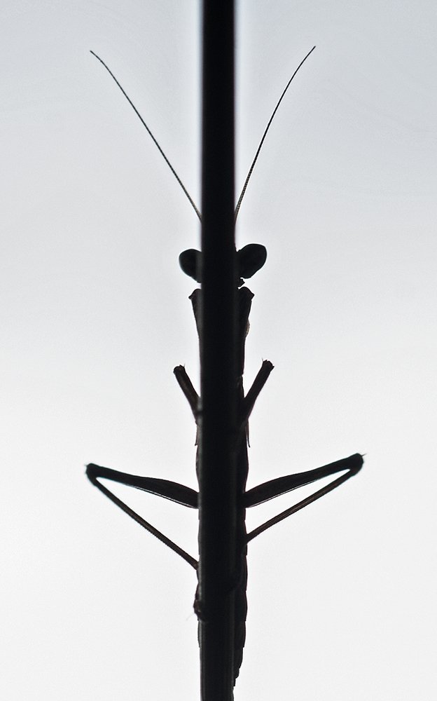 Photograph by Валерий Николаев (Petrovich)