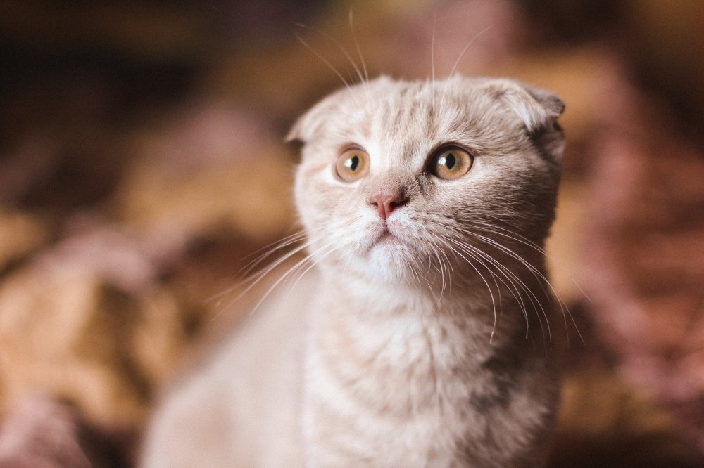 Photograph by Фриденберга Кристина