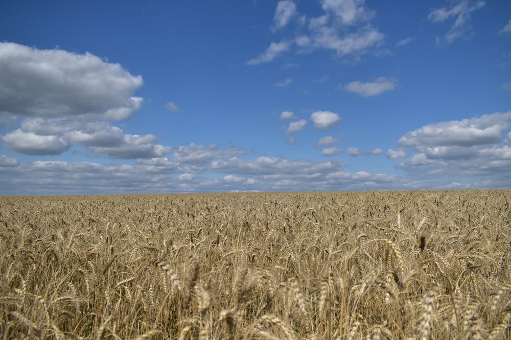 Photograph by Александр Терехов