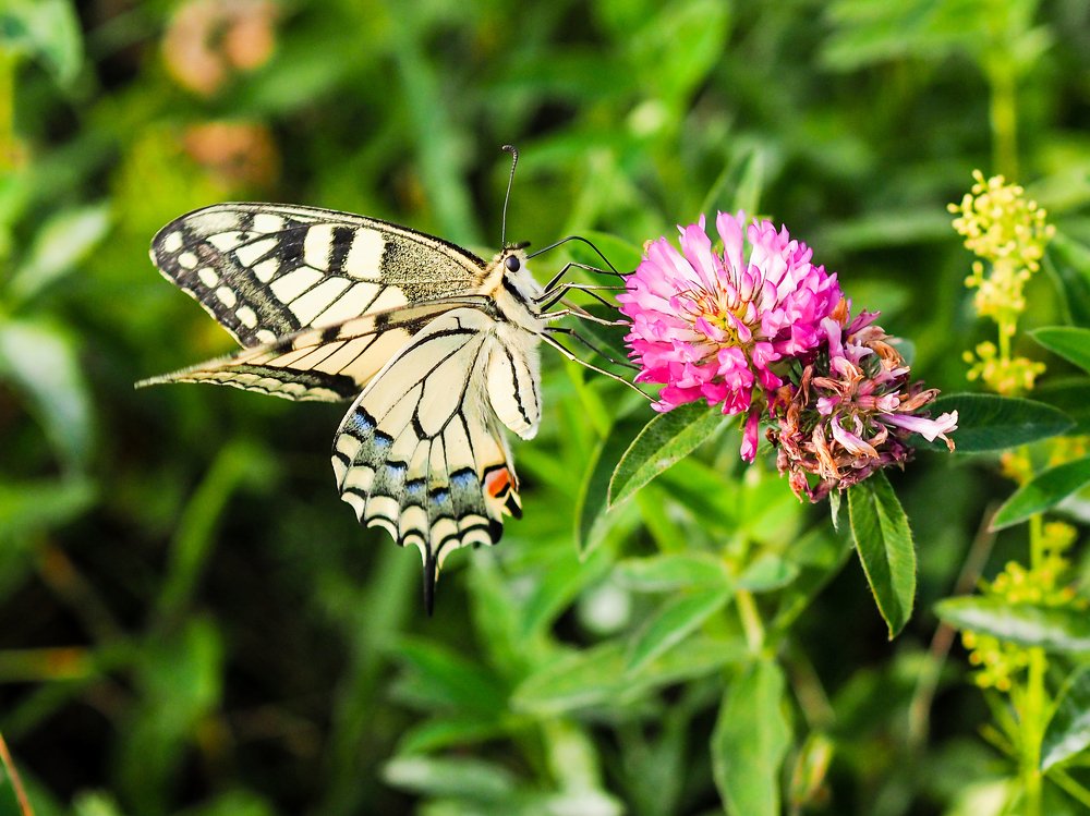 Photograph by Олеся Семенова