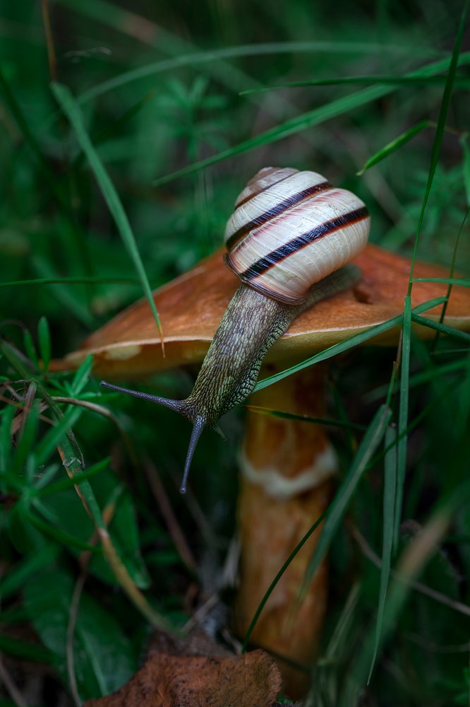 Фотография автора Зоя Галимова