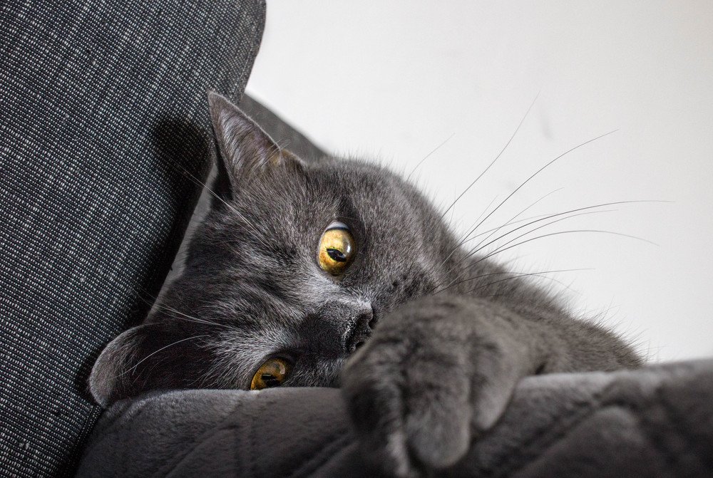 Photograph by Татьяна Мягкова