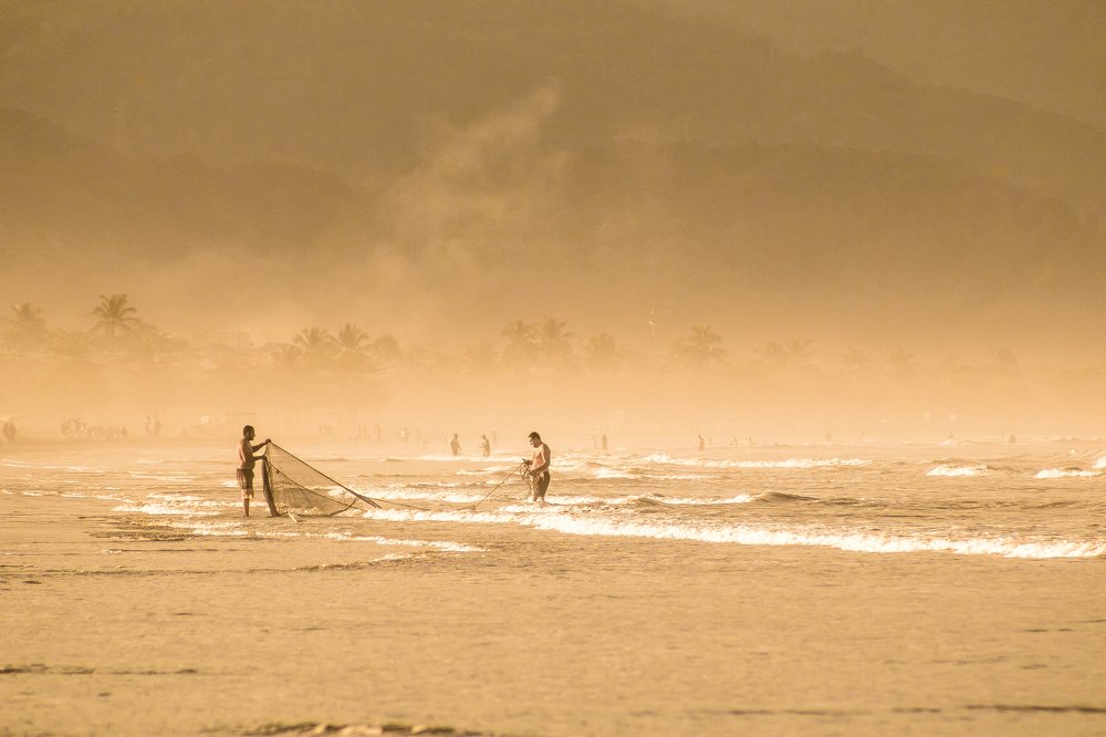 Profissão em extinsão