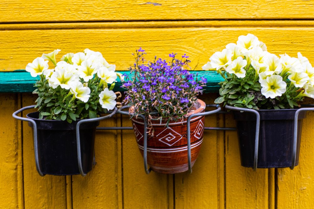 Фотография автора Анна Козак