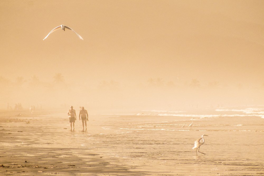Caminhando lado a lado, homens e natureza