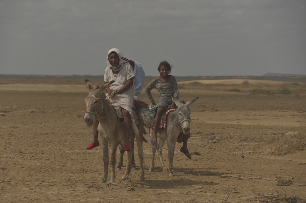 Photograph by Fabrizio Bosco