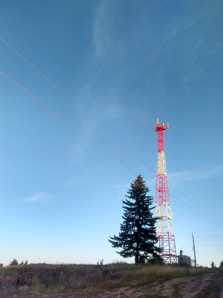 Photograph by Юлия Гагарина