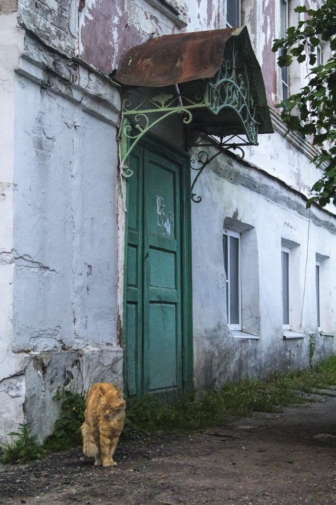 Photograph by Анна