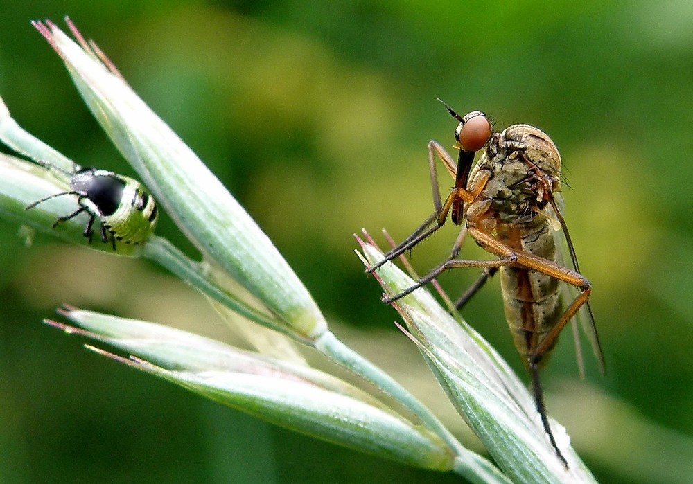 Photograph by Сергей Дружаев