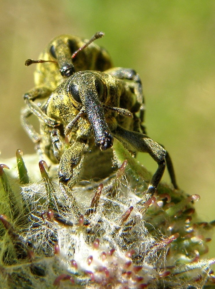 Photograph by Сергей Дружаев