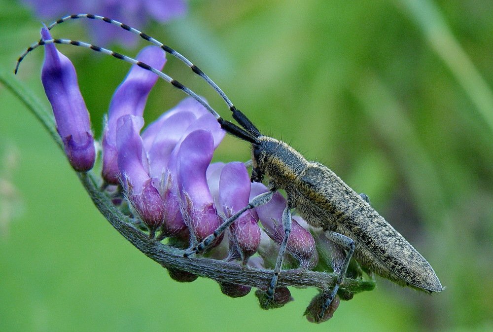 Photograph by Сергей Дружаев