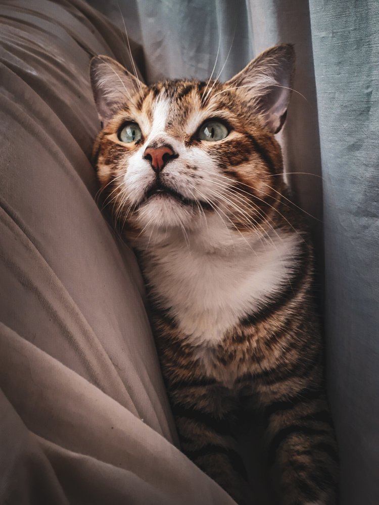 Photograph by francisco caicedo