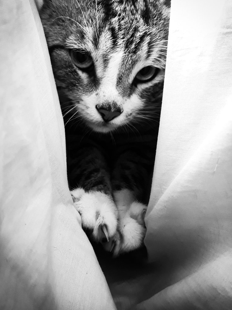 Photograph by francisco caicedo