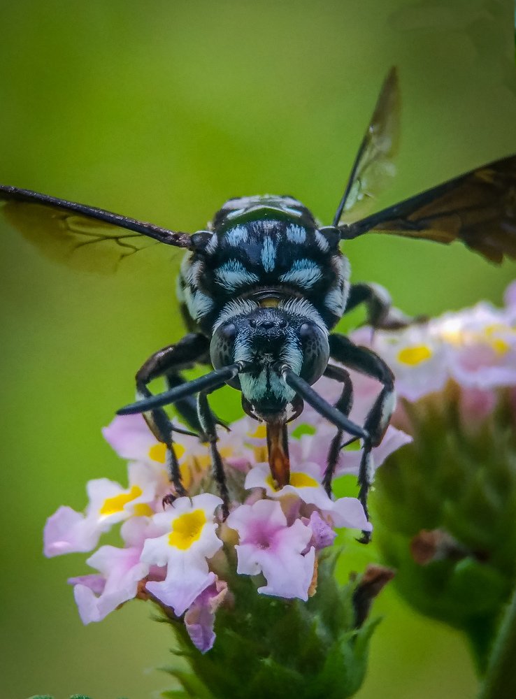 Photograph by Bistupada Mondal