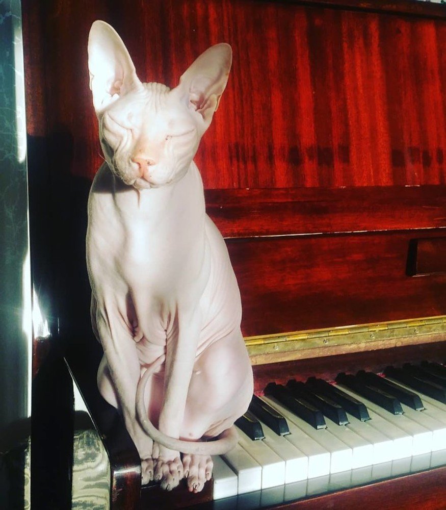 Photograph by Юлия Гагарина